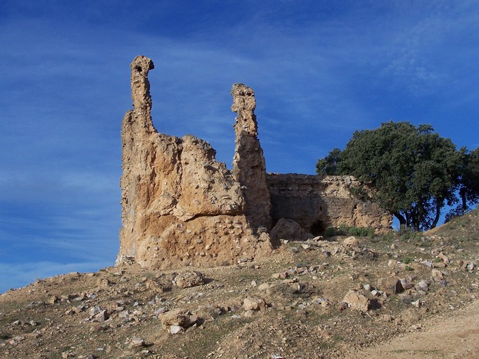 CASTILLO DE CASTRO FERRAZ