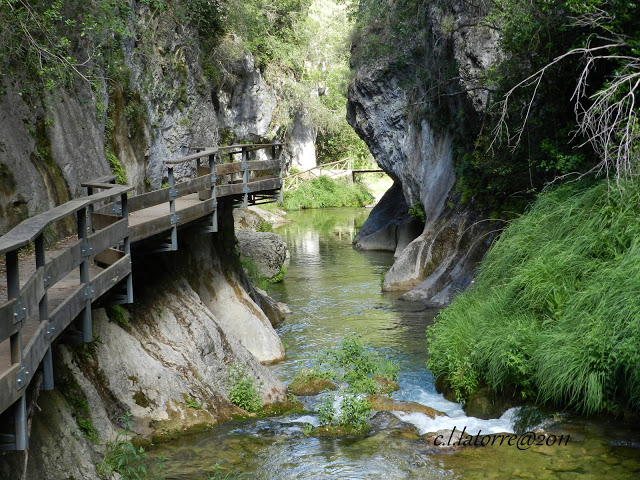 RIO BOROSA (LA CERRA DE ELIAS)